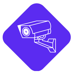 Alpha security surveillance sales system